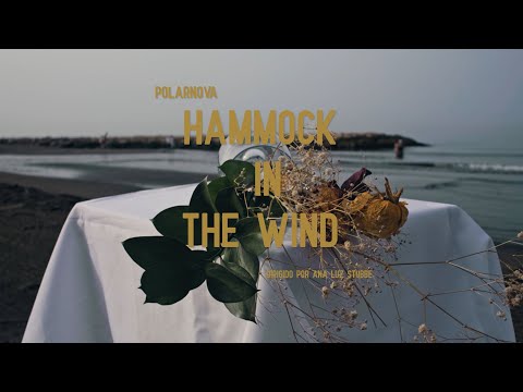 Hammock in the Wind